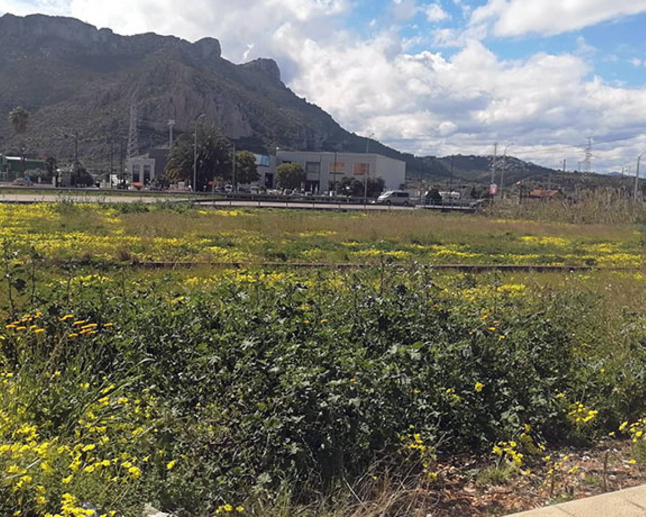 Nueva construcción  -  - El Verger - El Vergel