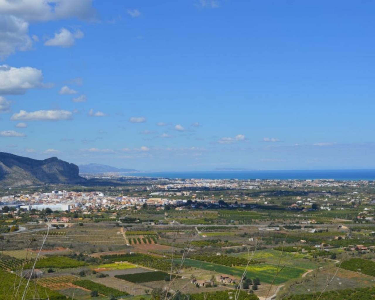 Venta -  - Pedreguer
