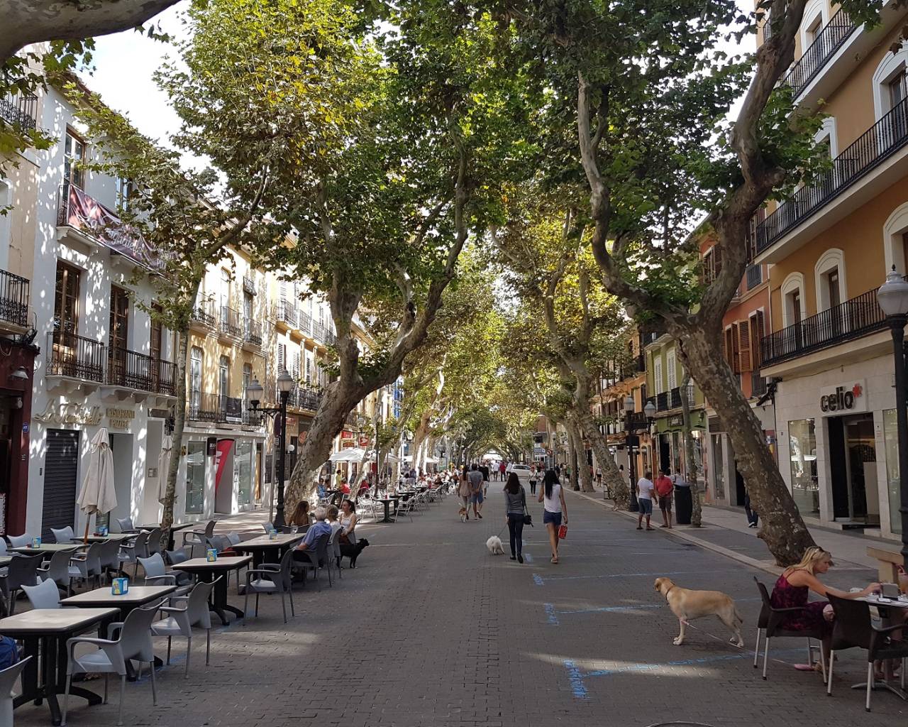 Sales - Apartment - Denia