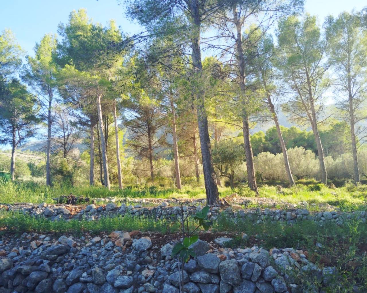 Sales - Detached villa - Jalon Valley - Parcent