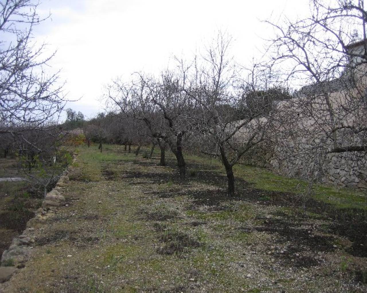 Sales - Finca - Benissa