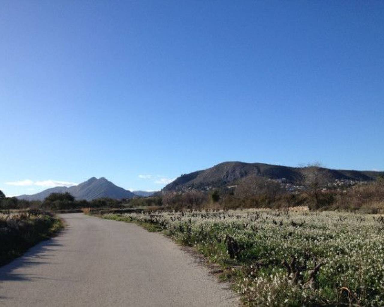 Sales - Village house - Jalon Valley - Jalon