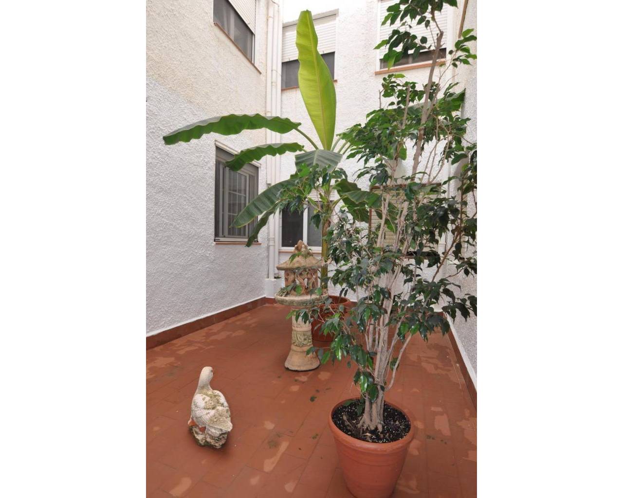 Sales - Apartment - Javea - Puerto