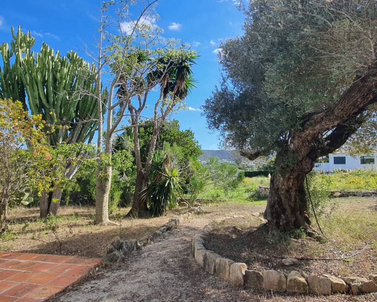 Sales - Detached villa - Javea