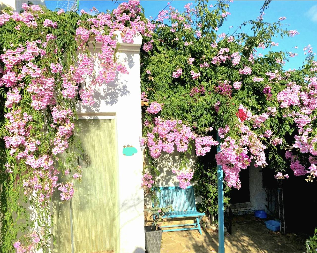 Sales - Detached villa - Javea