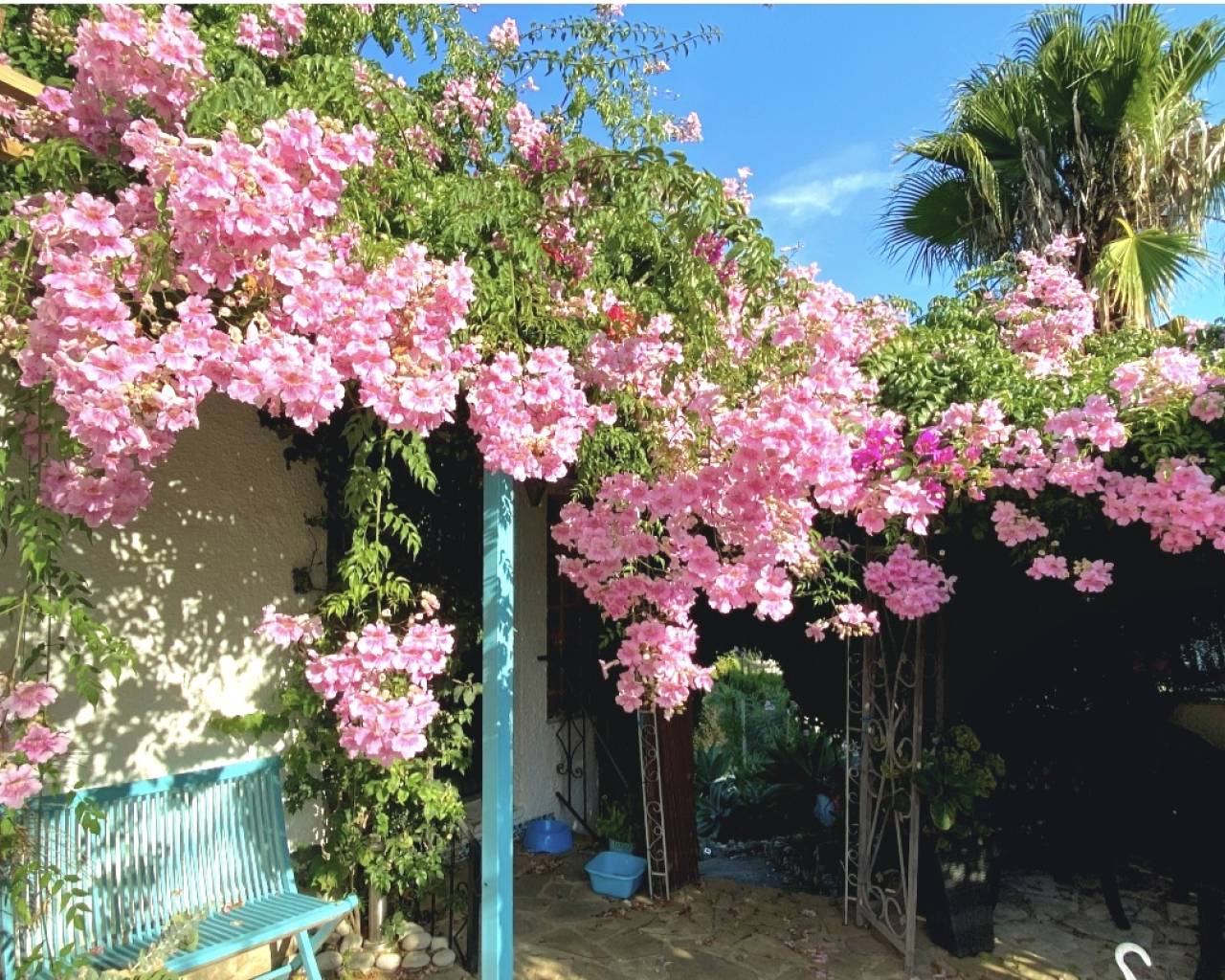 Sales - Detached villa - Javea