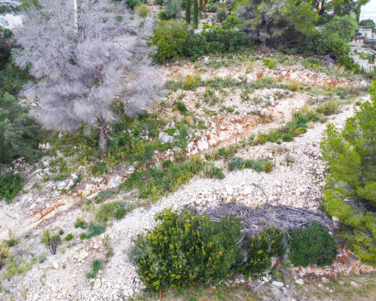 Sales - Detached villa - Pedreguer