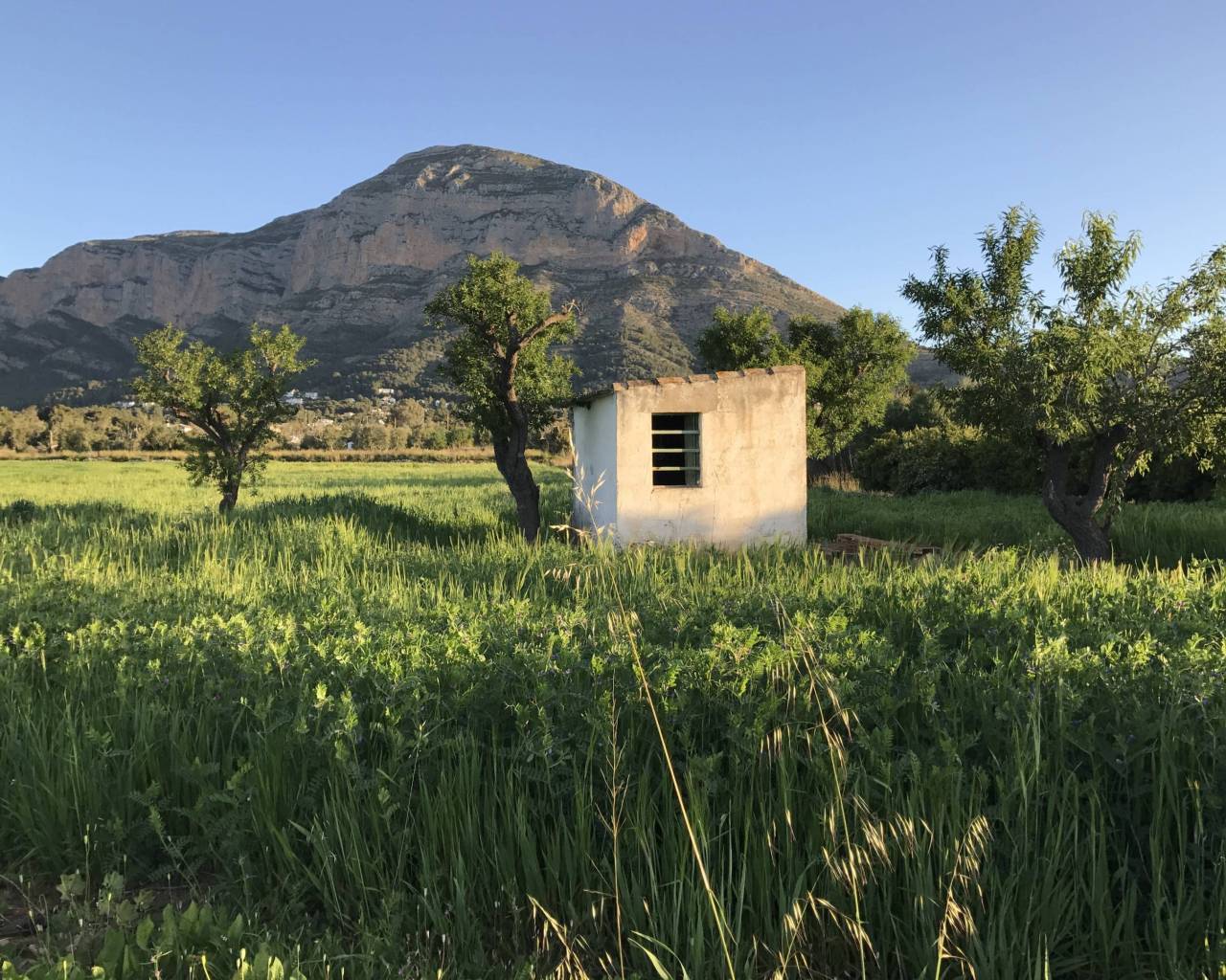 Sales - Finca - Gata De Gorgos - Centro del pueblo