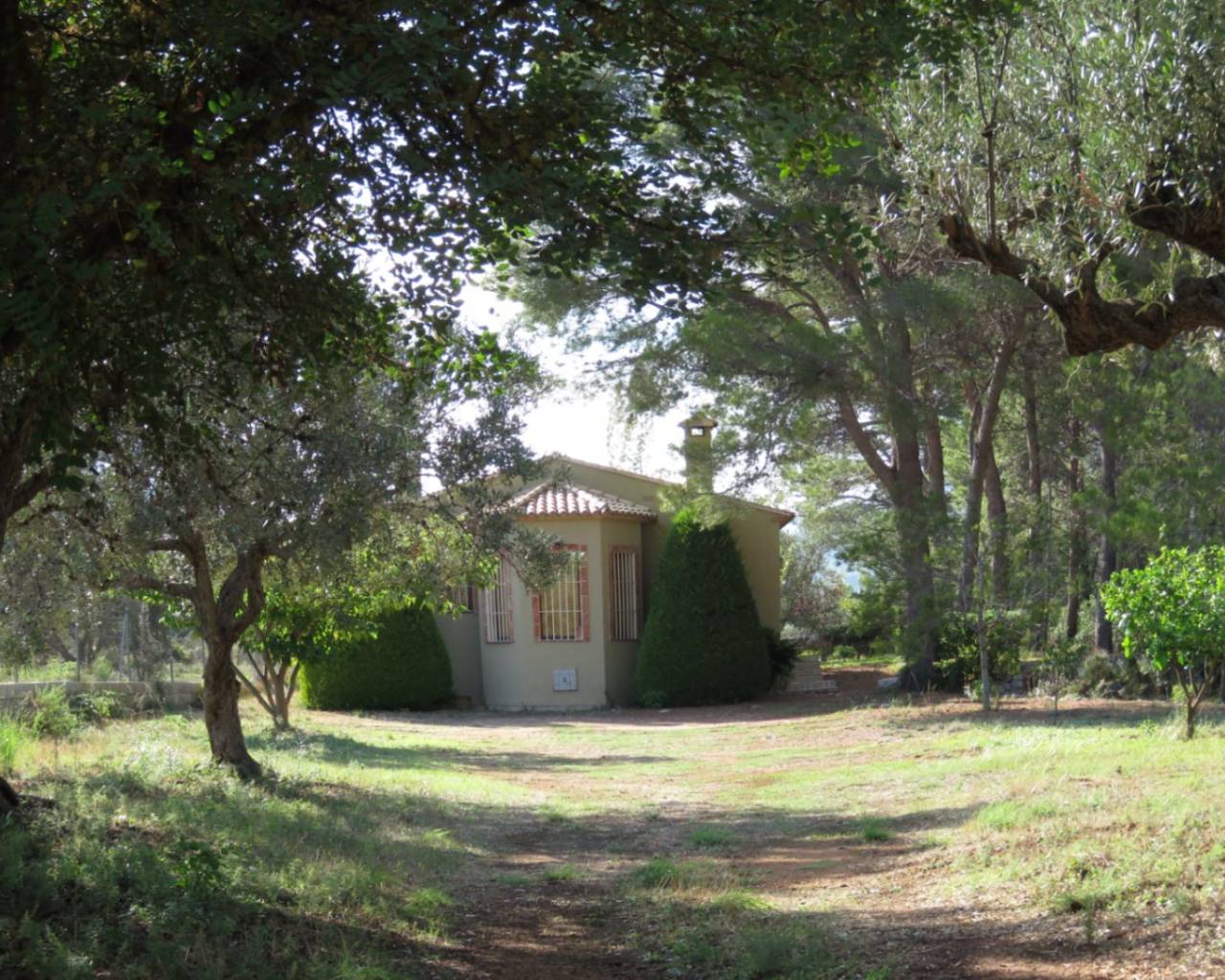 Sales - Finca - Jalon Valley - Benigembla