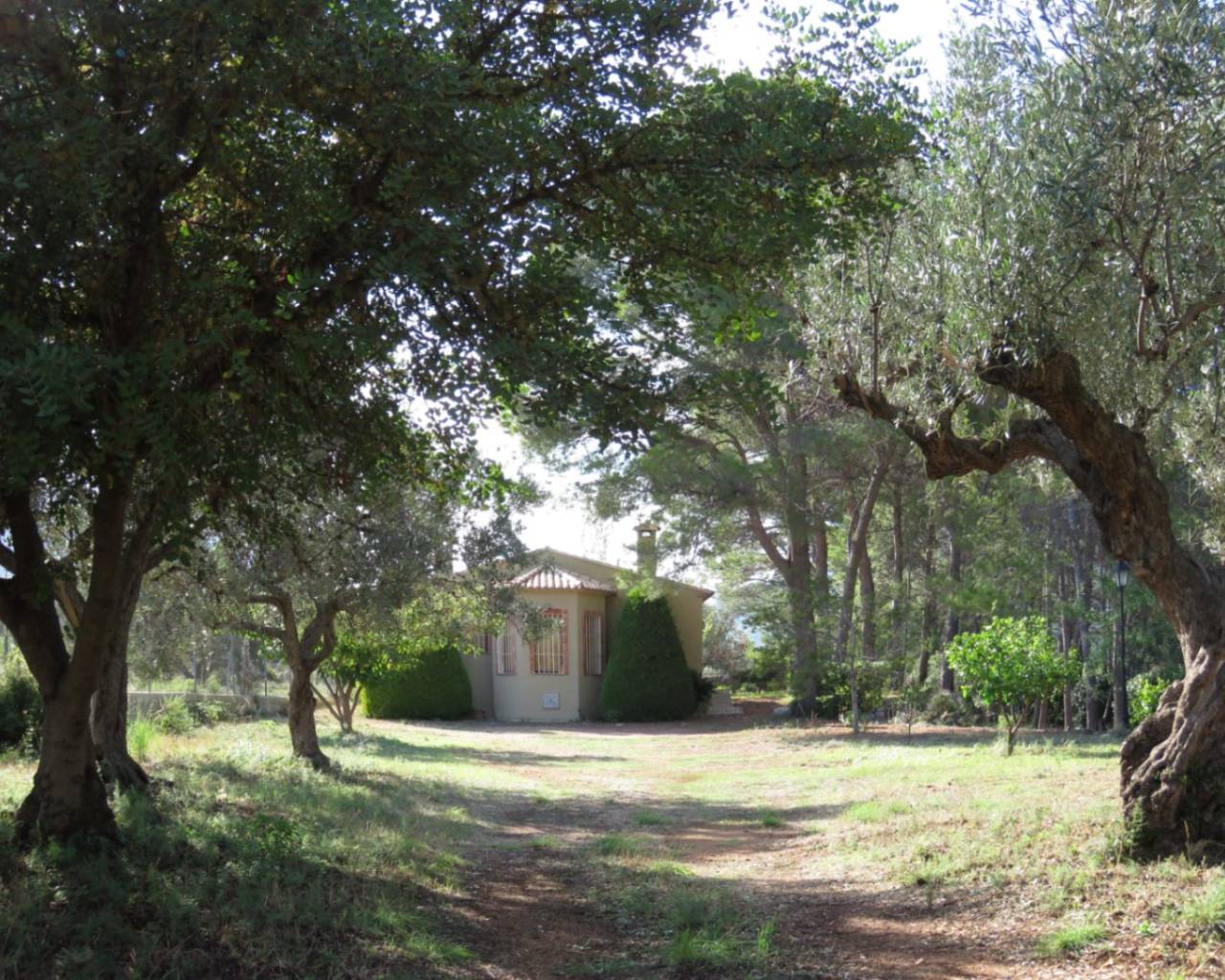 Sales - Finca - Jalon Valley - Benigembla