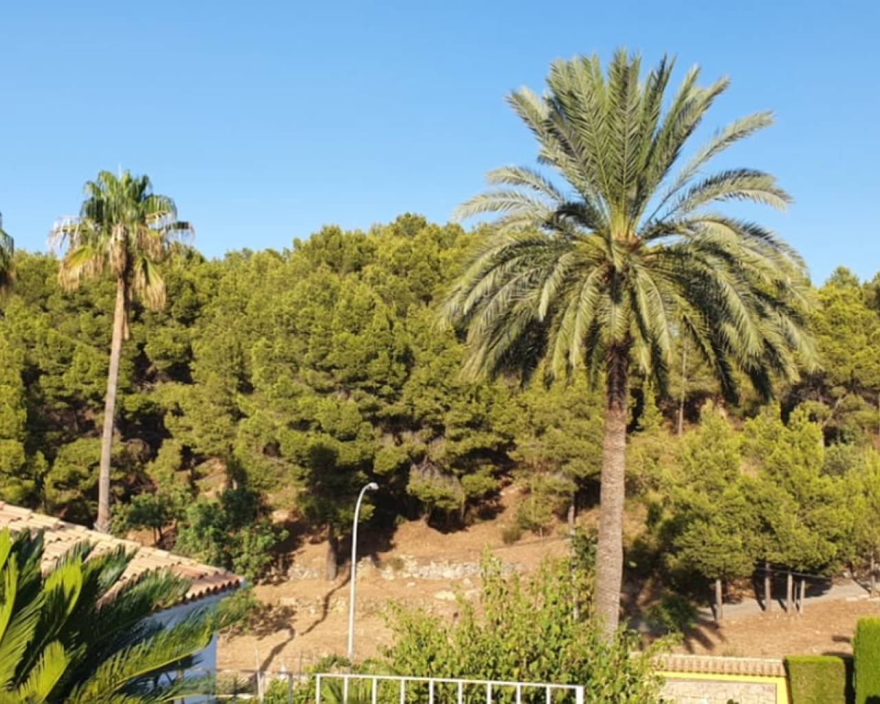 Sales - Detached House - Oliva