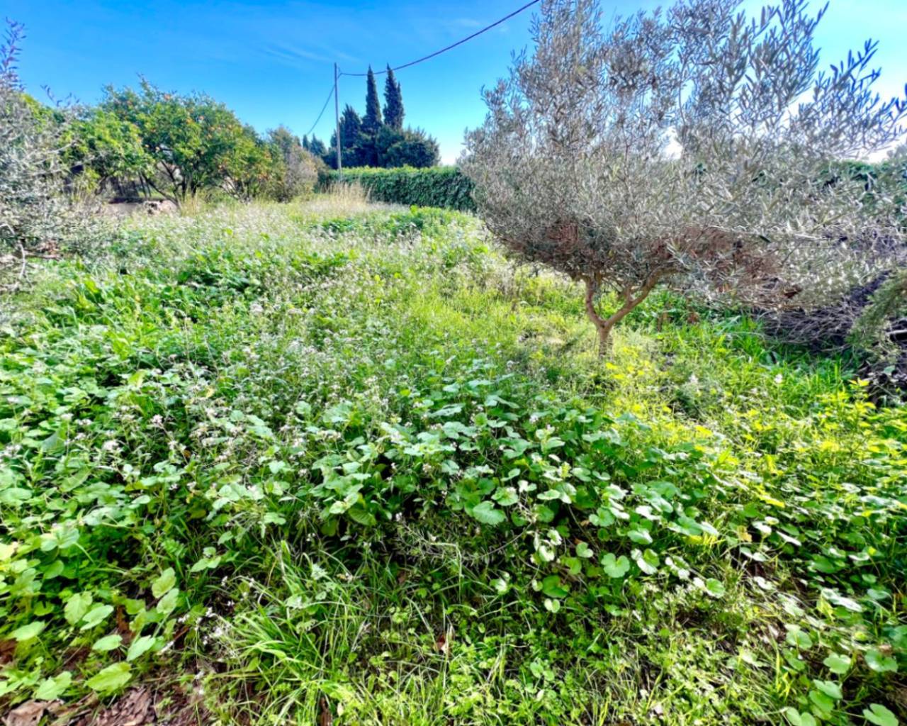 Sales - Detached villa - Javea - El Arenal