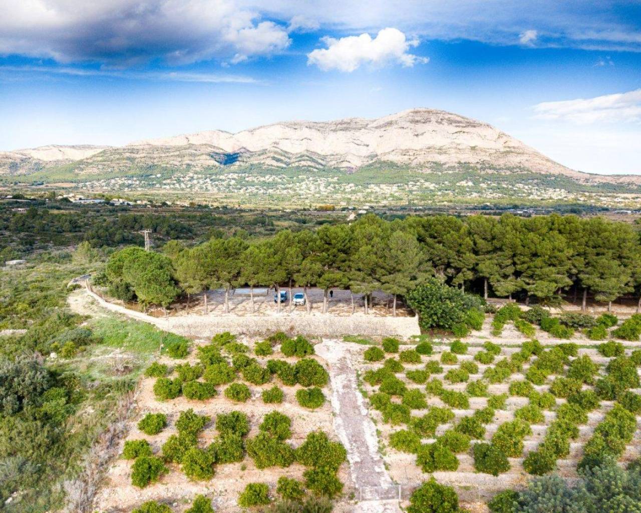 Sales - Finca - Gata De Gorgos - Gata de Gorgos