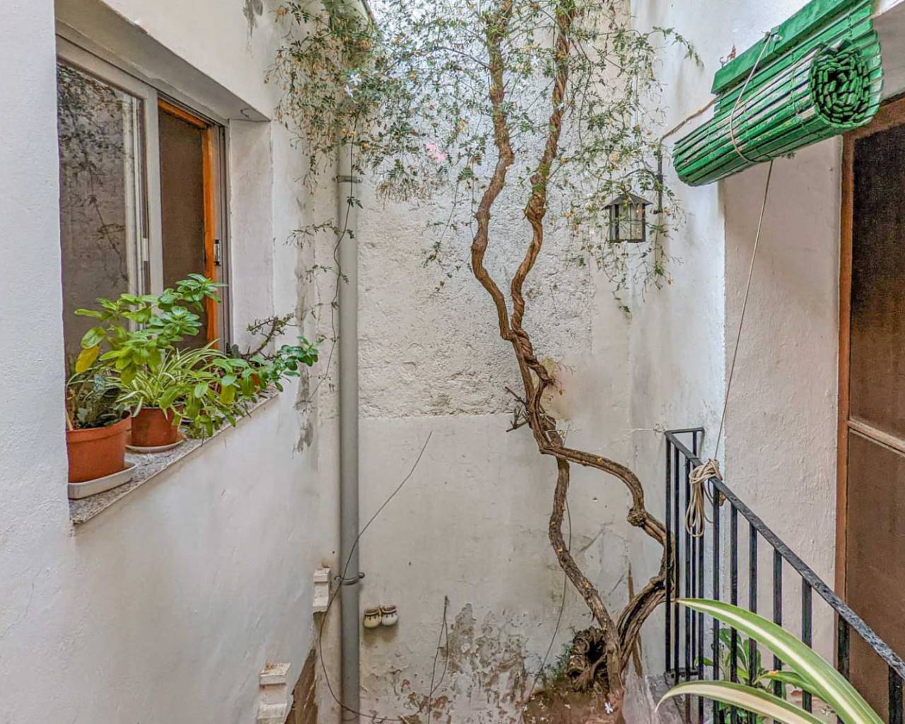 Sales - Linked villa - Orba Valley - Centro