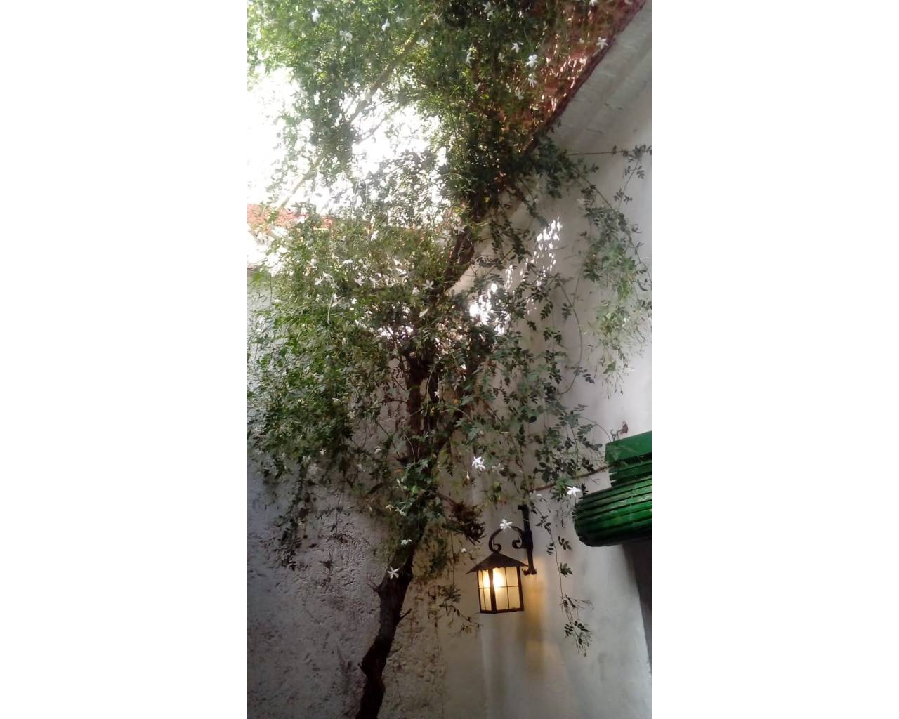 Sales - Linked villa - Orba Valley - Centro