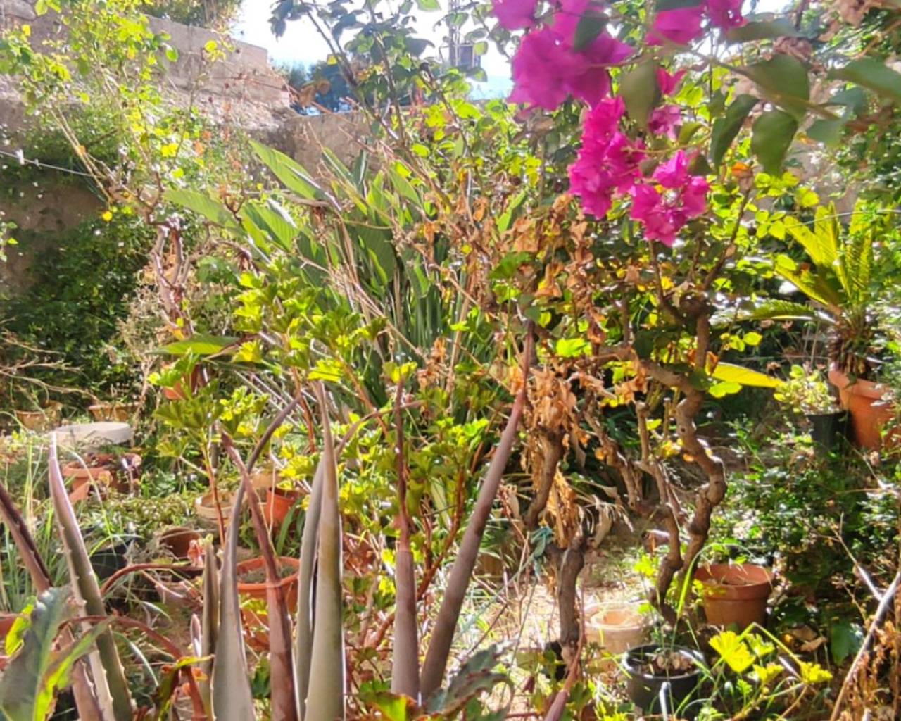 Sales - Village house - Orba Valley - Sagra