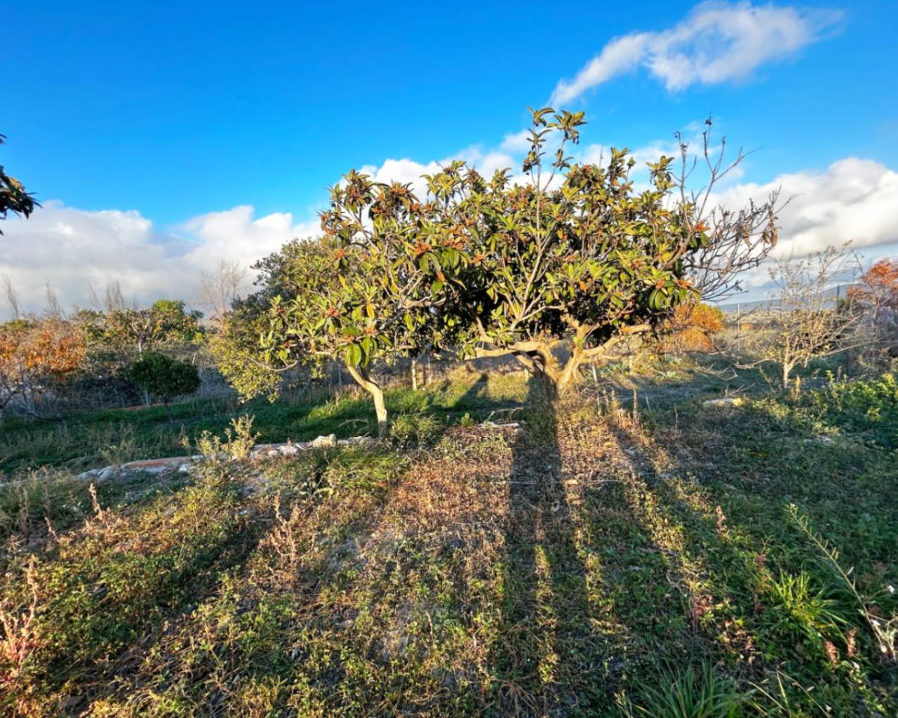 Sales - Detached villa - Benissa