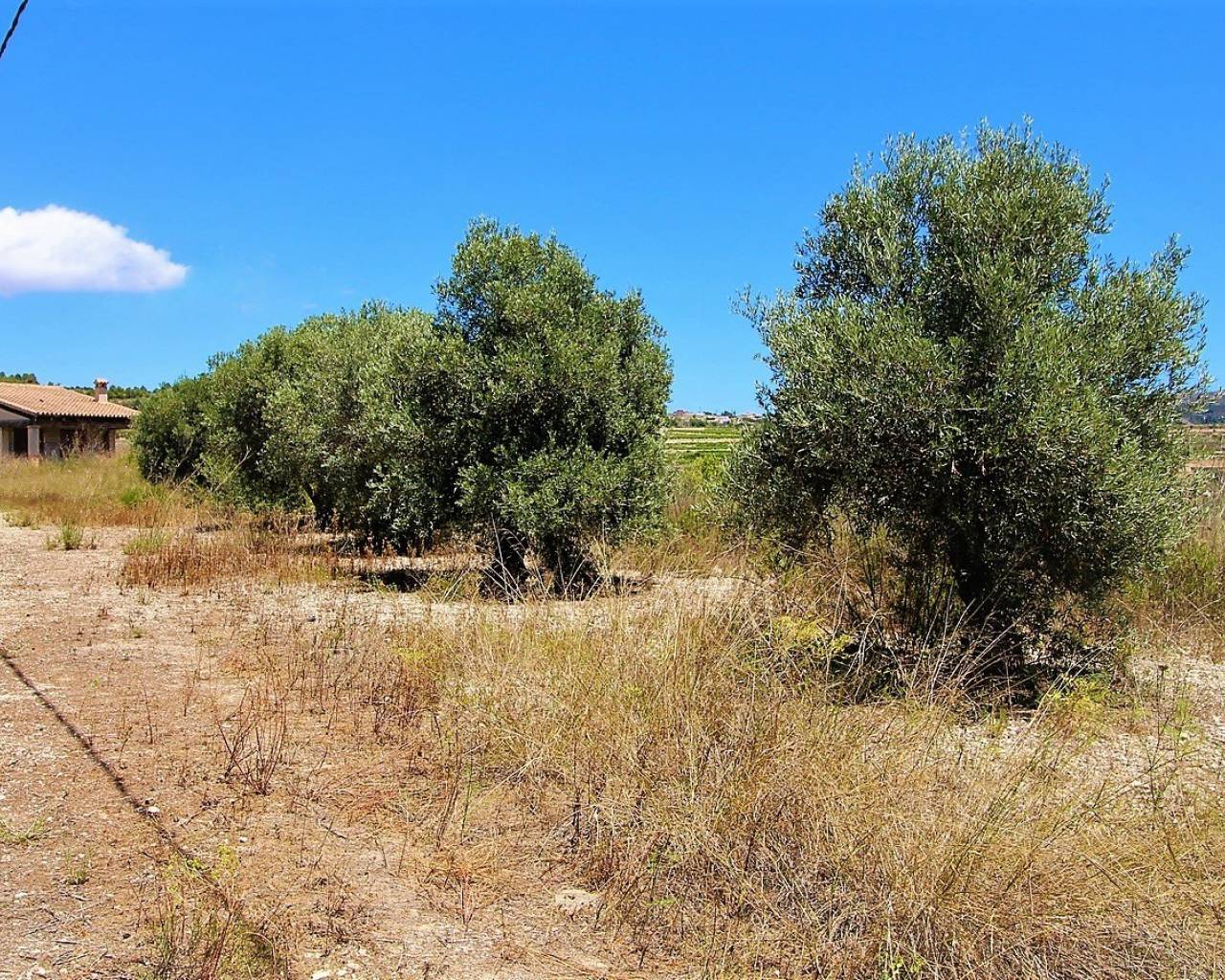 New Build - Finca - Teulada - Campo