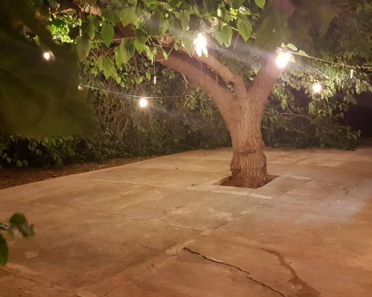 Sales - Finca - Denia - Casablanca
