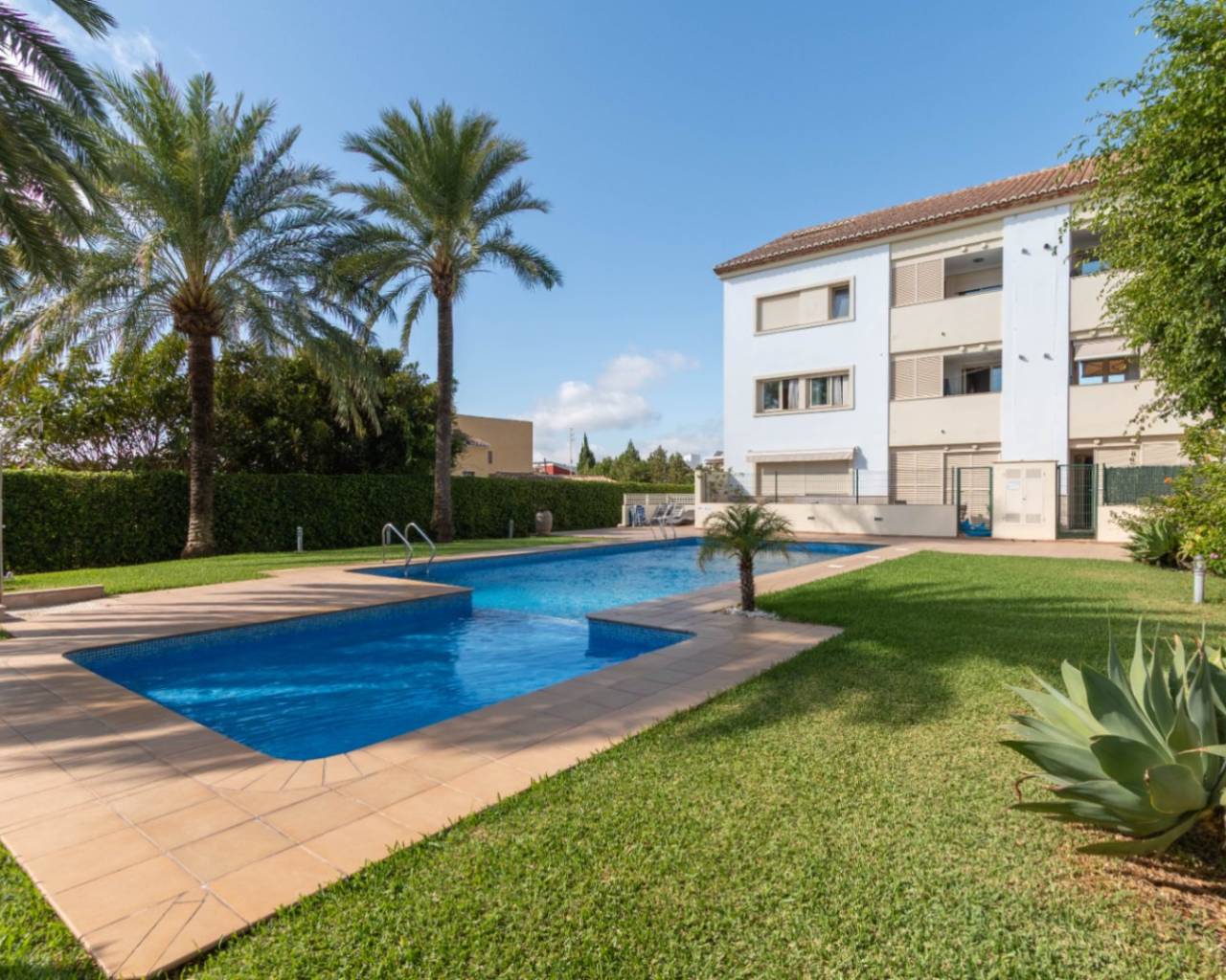 Rental - Apartment - Javea - Puerto