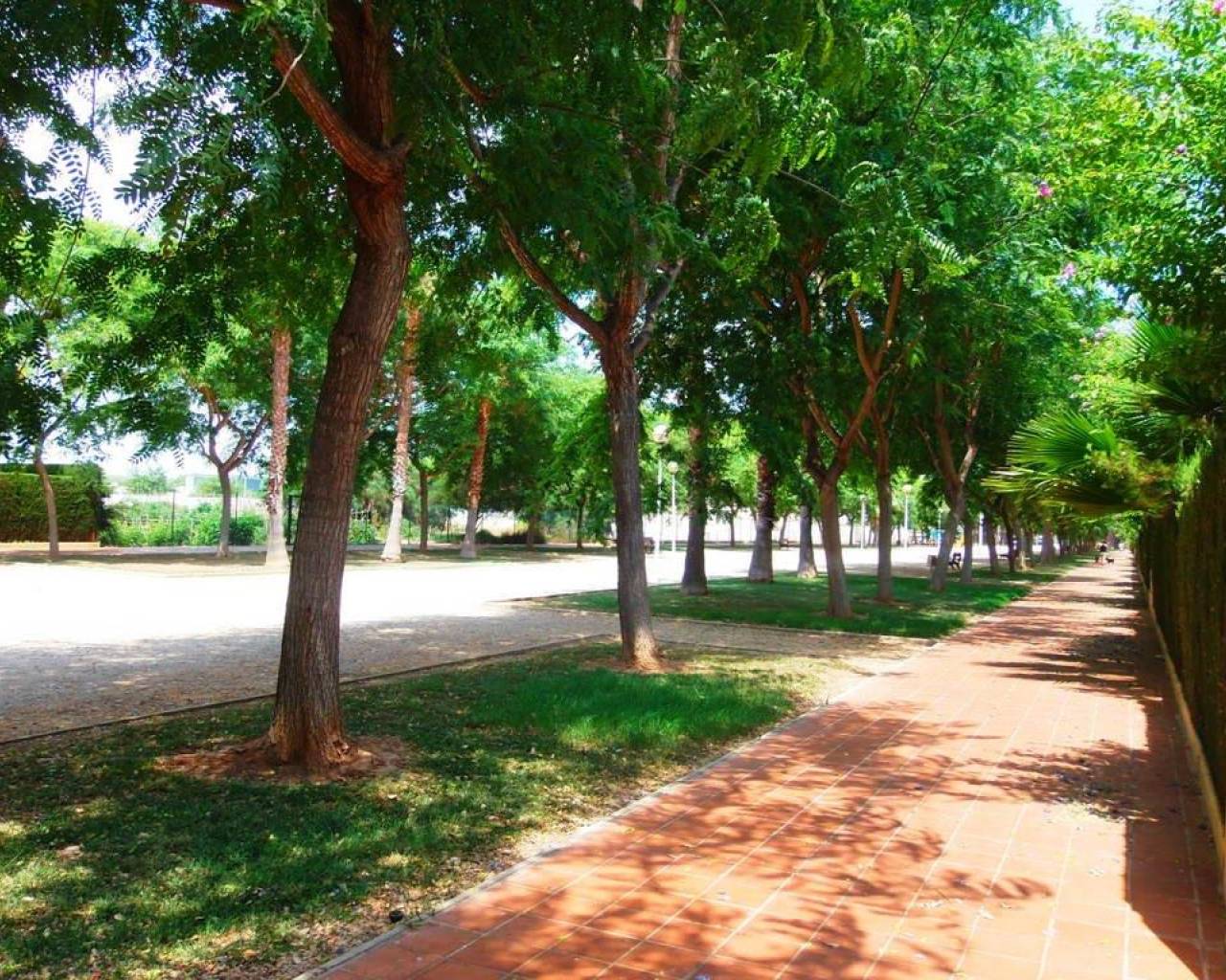 Sales - Apartment - Javea - Arenal Beach