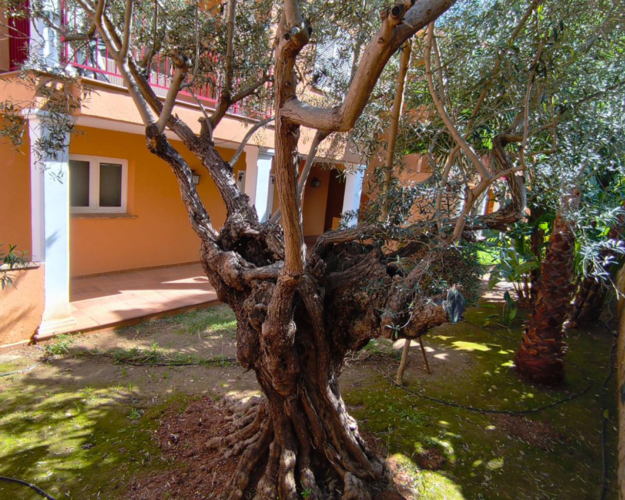 New Build - Appartement - La Sella, Denia - La Sella Golf Resort