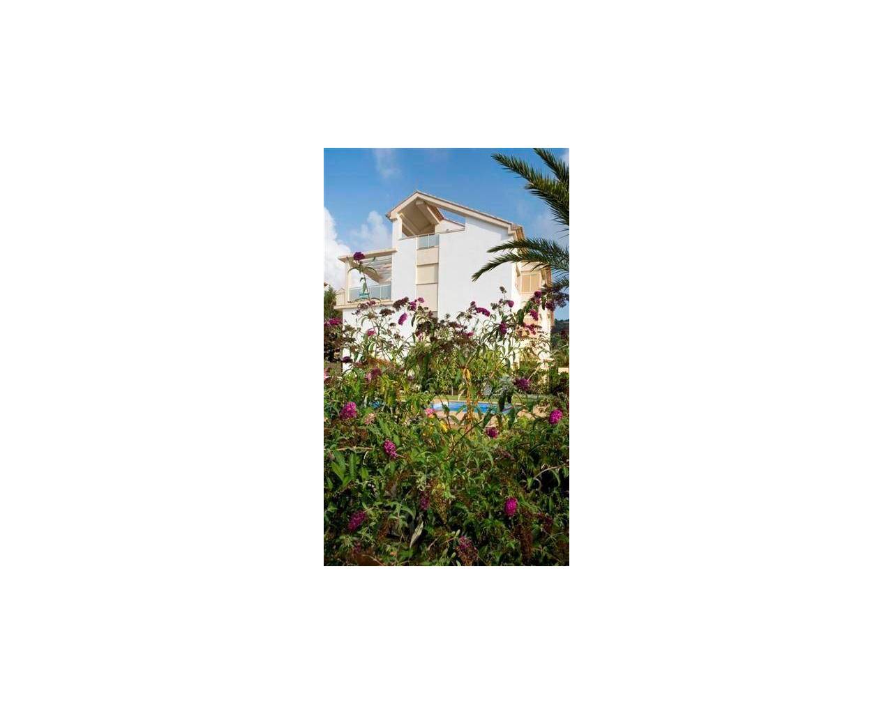 Locations longue durée - Appartement - Javea - Puerto