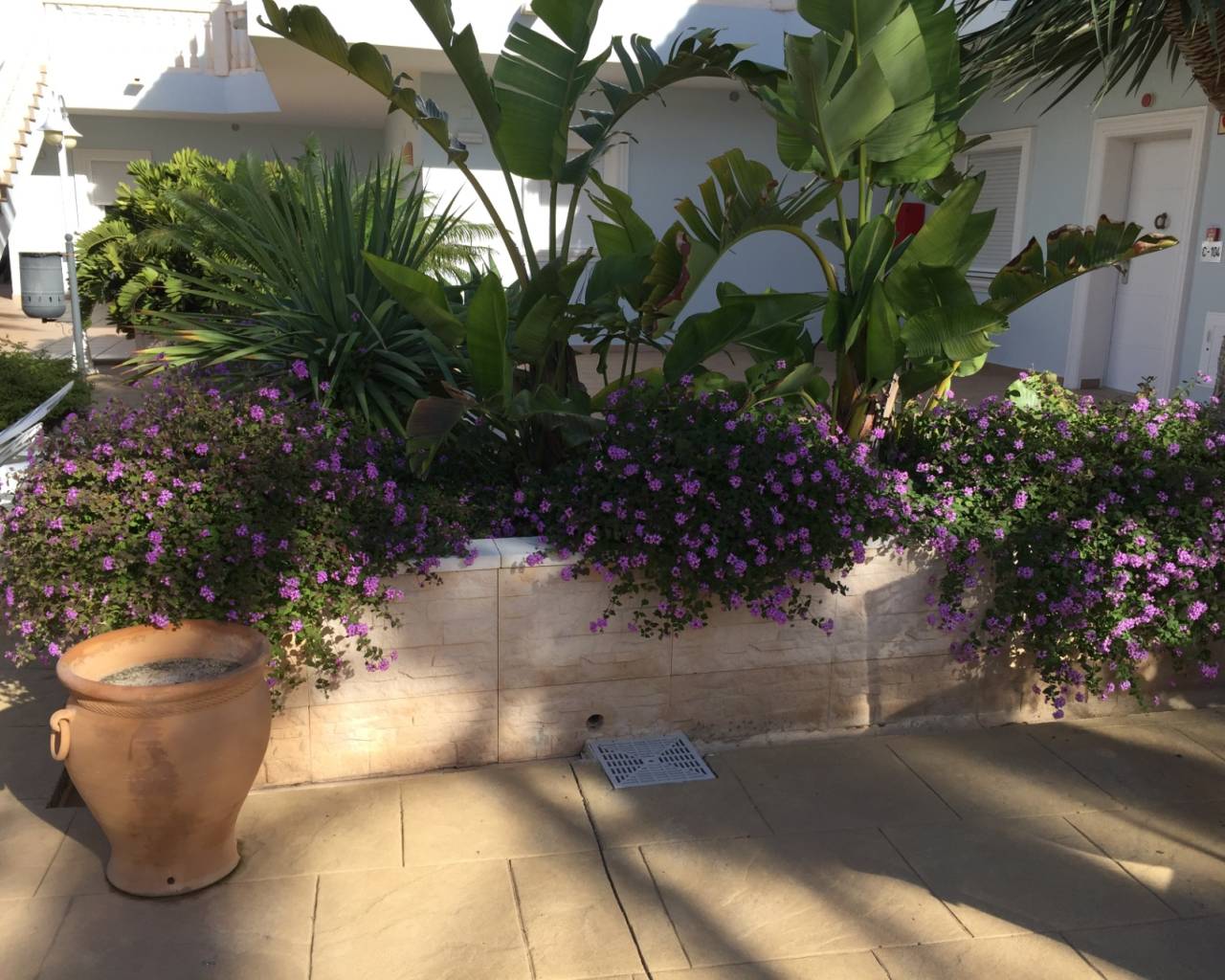 Vente - Appartement - Benissa
