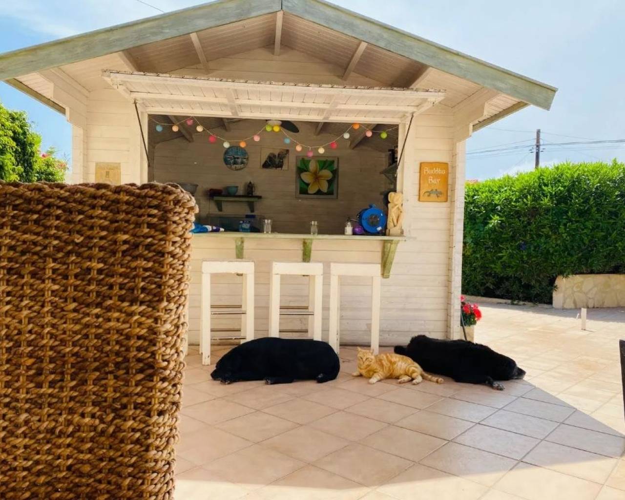 Venta - Chalet - Calpe