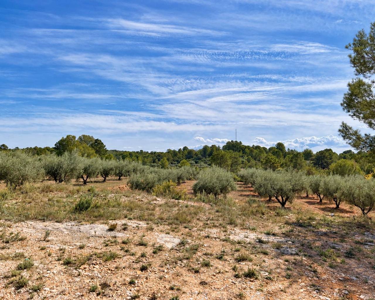 Venta - Chalet - Cuatretonda