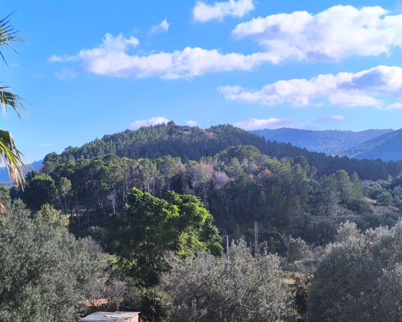 Venta - Chalet - Jalon Valley - Parcent