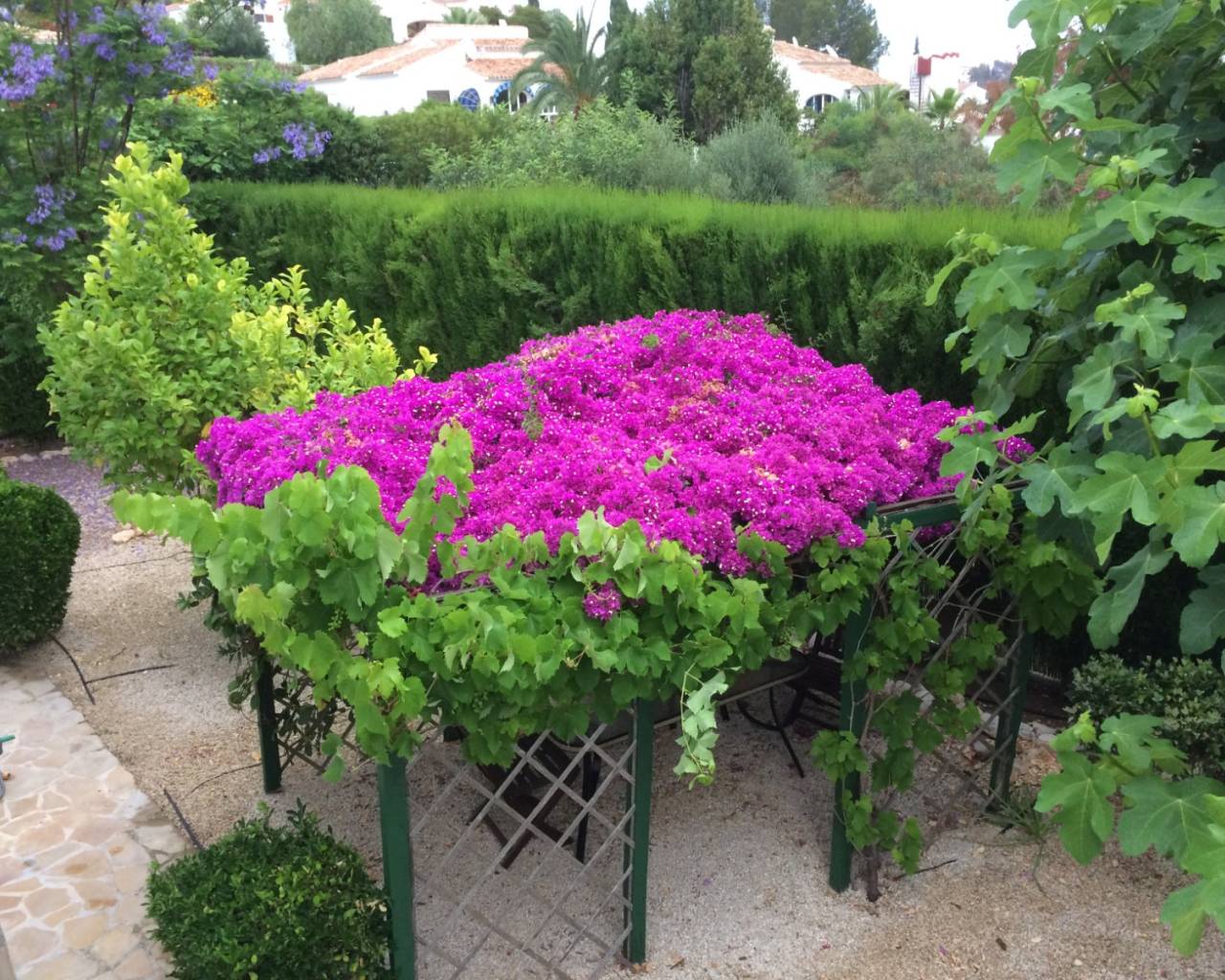 Venta - Chalet - Javea - Cansalades