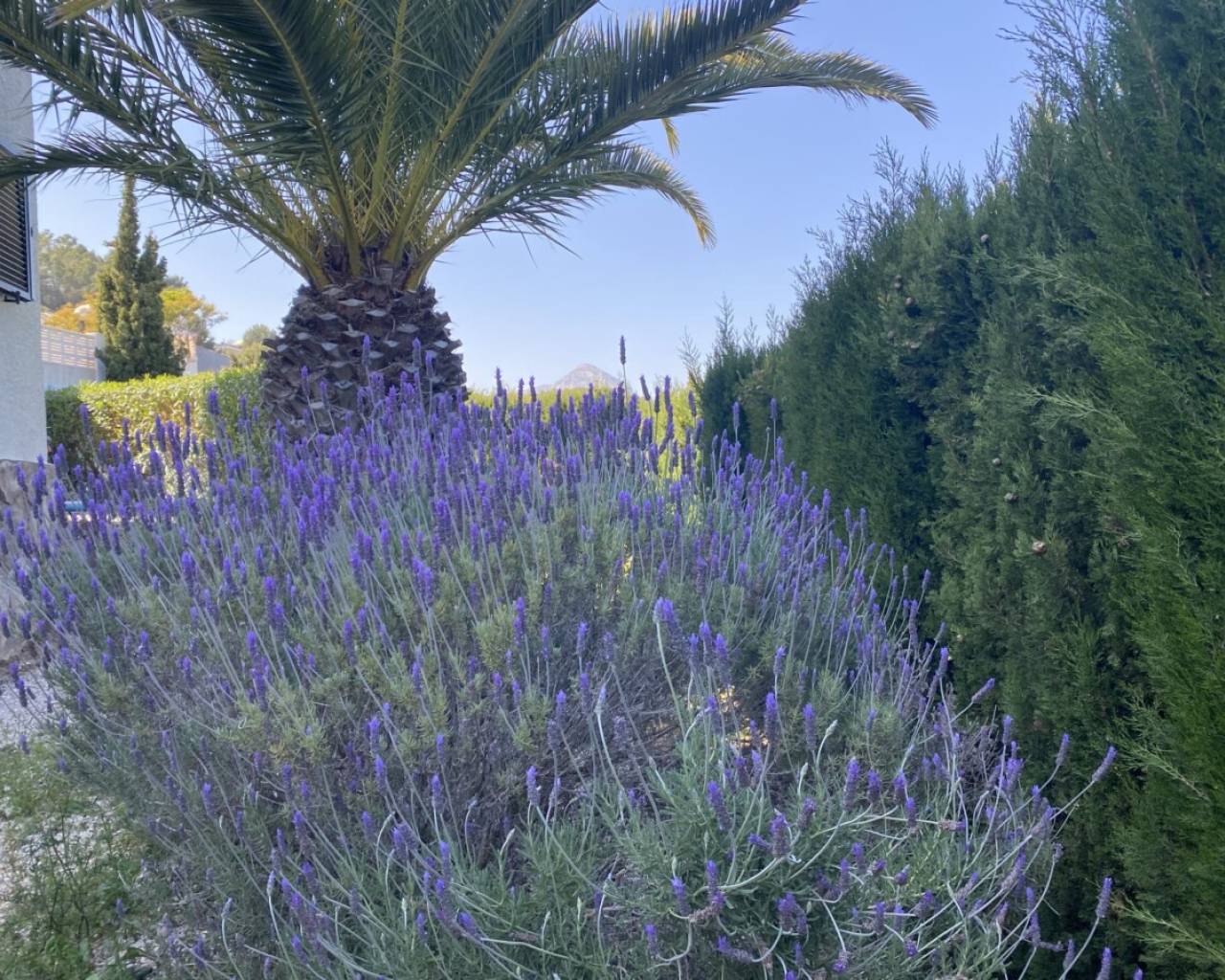 Venta - Chalet - Javea