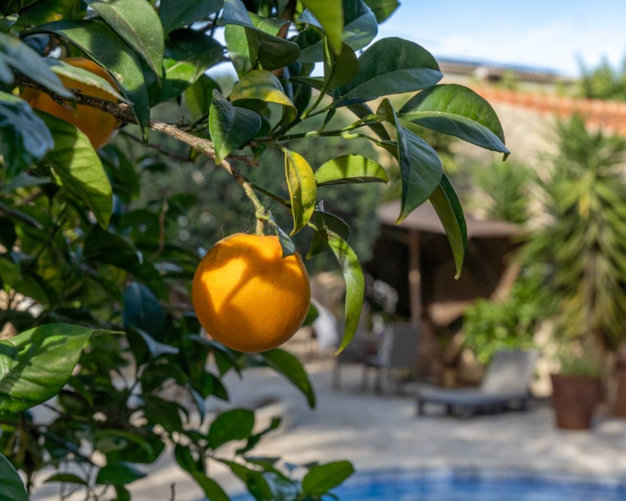 Venta - Chalet - Javea - Partida Comunes-Adsubia