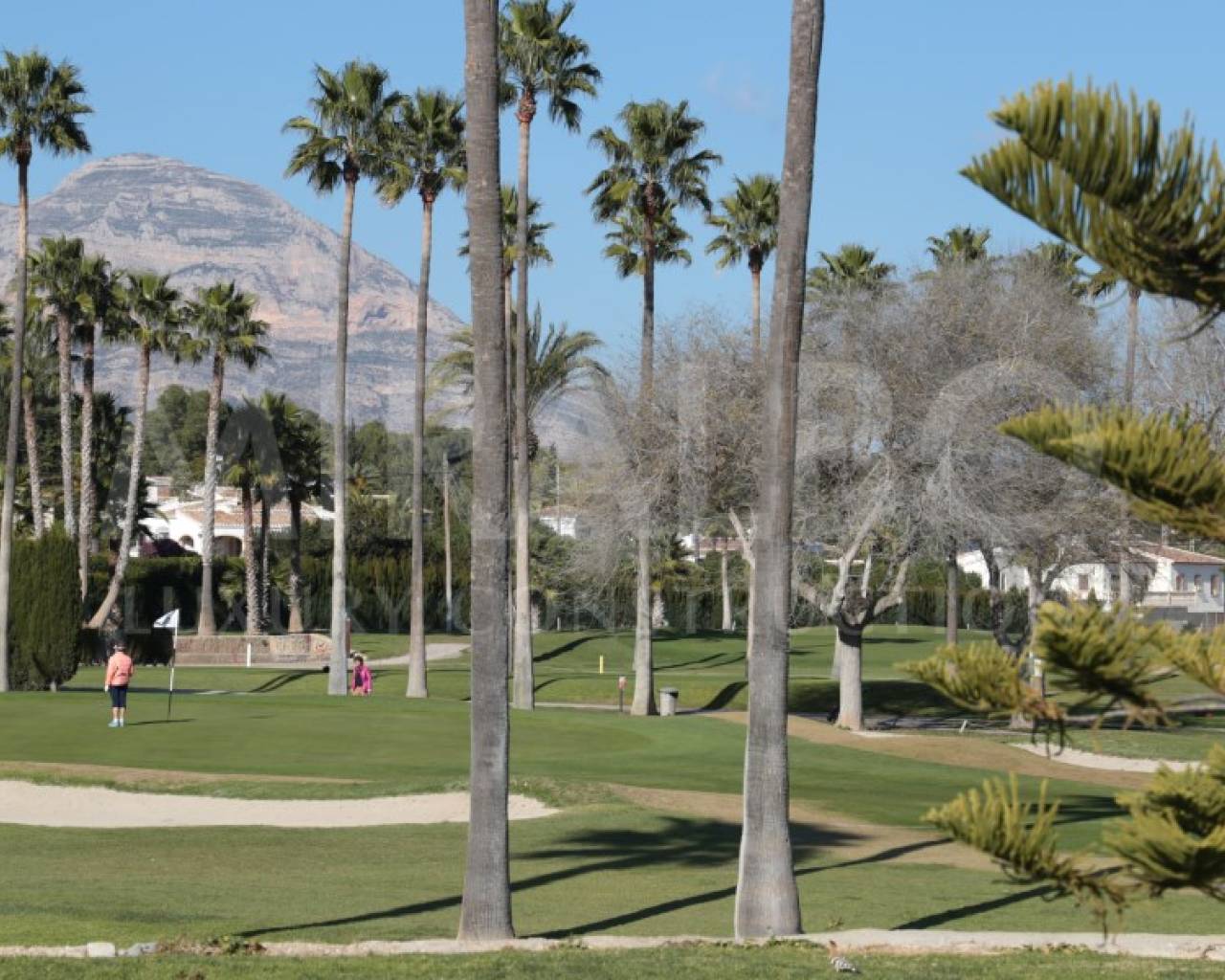 Nueva construcción  - Chalet - Javea - Cap Martí - El Tossalet - Pinomar