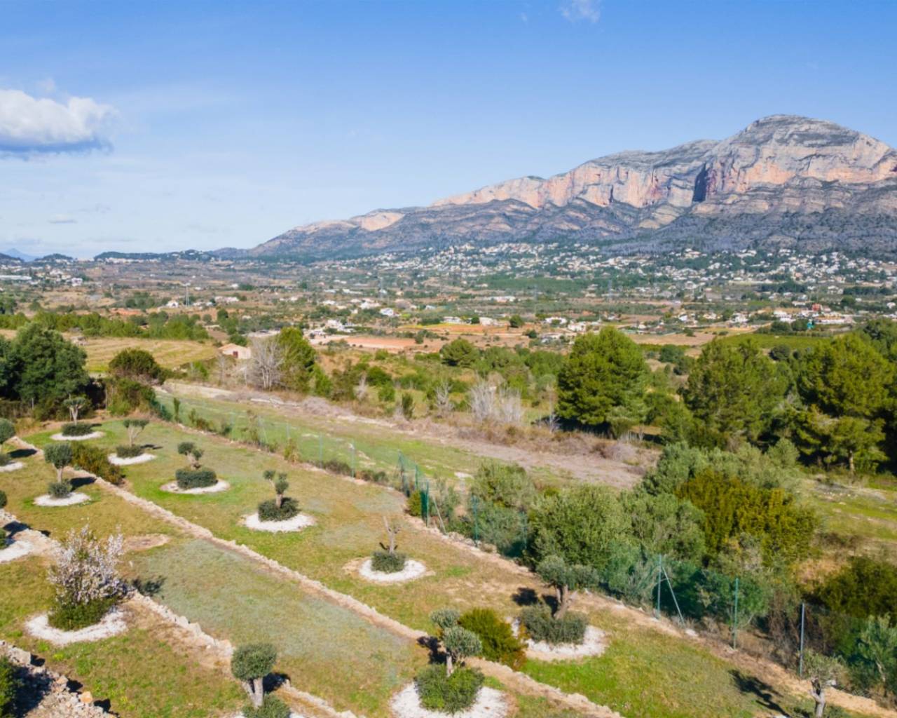 Venta - Chalet - Javea - Tarraula