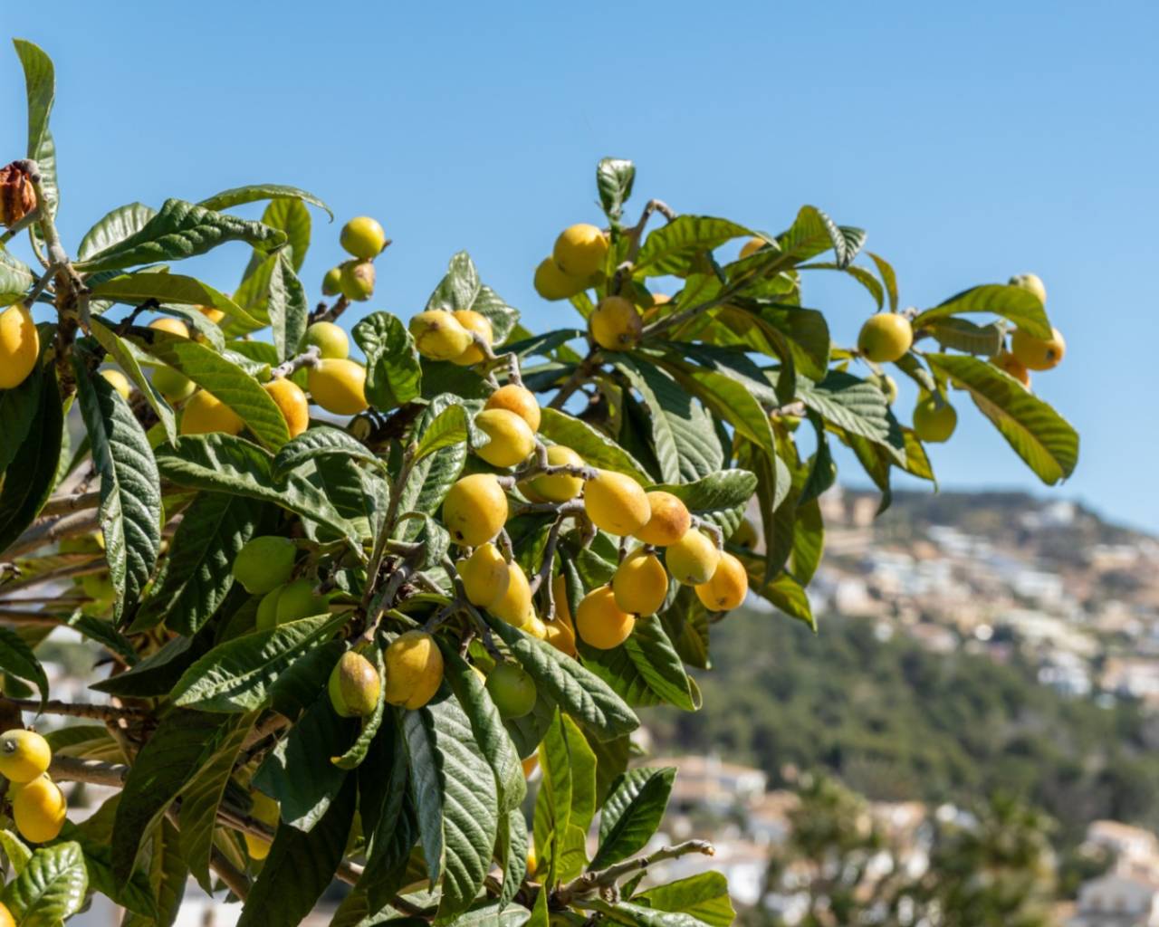 Venta - Chalet - Javea