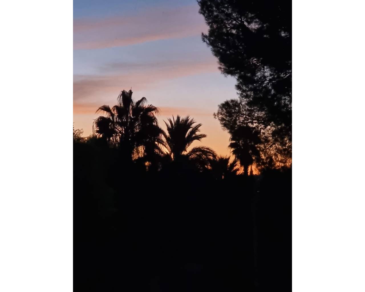 Venta - Chalet - Javea