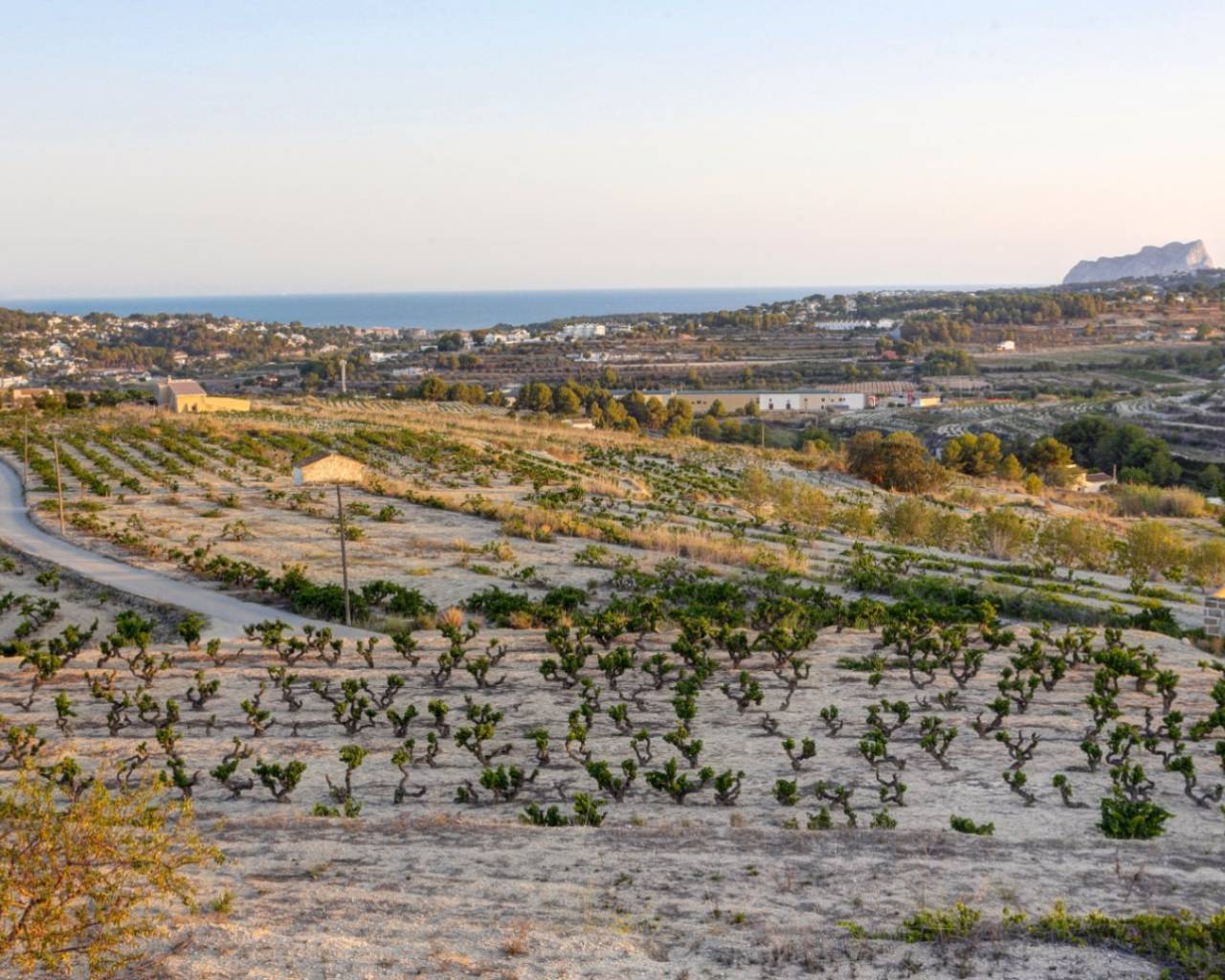 Venta - Finca - Moraira - Campo