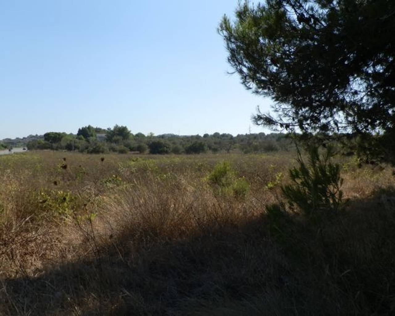 Vente - Commerce - Teulada - El Pla