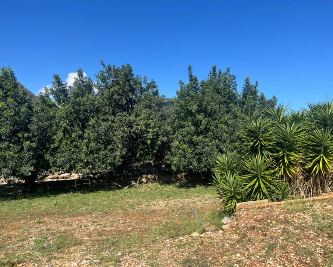 Venta - Finca - Ráfol de Almúnia