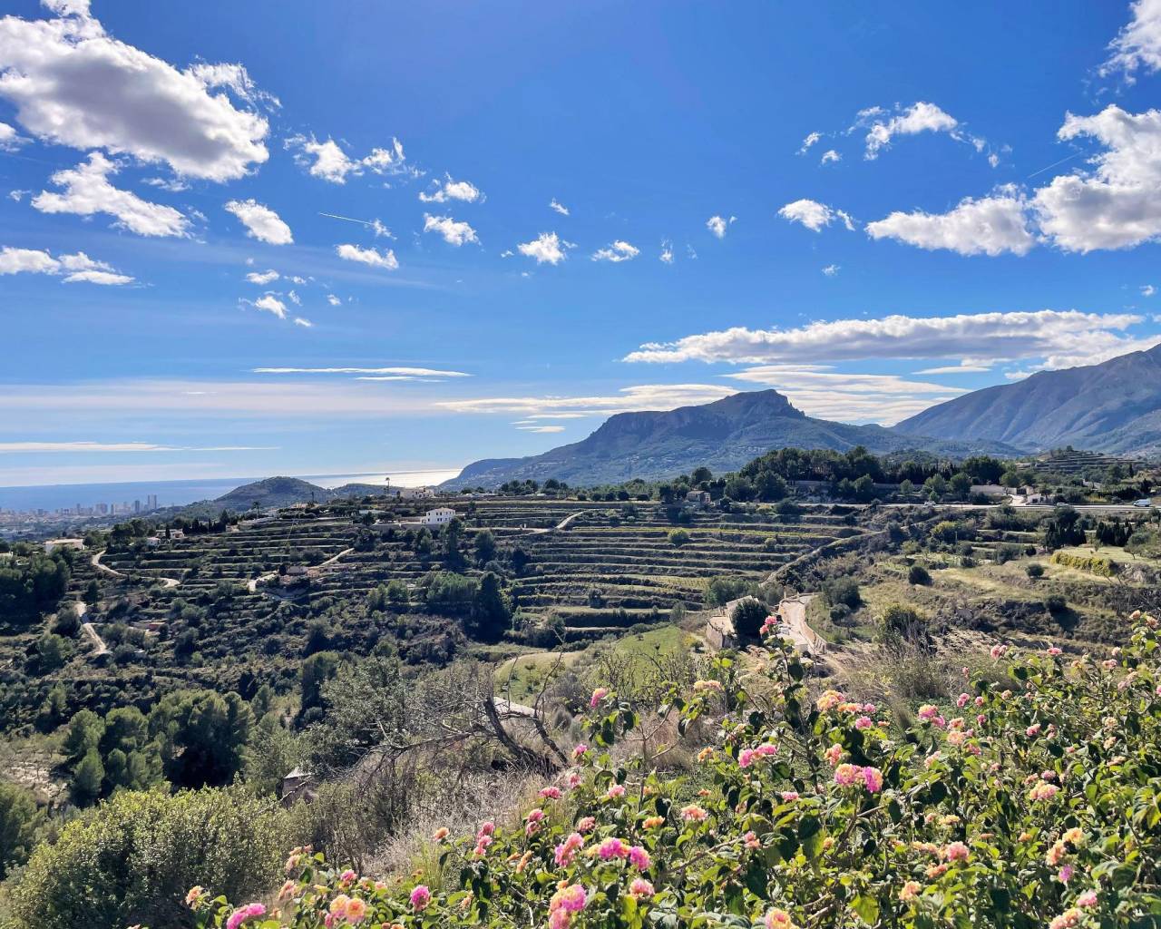 Vente - Finca - Benissa - Benissa pueblo