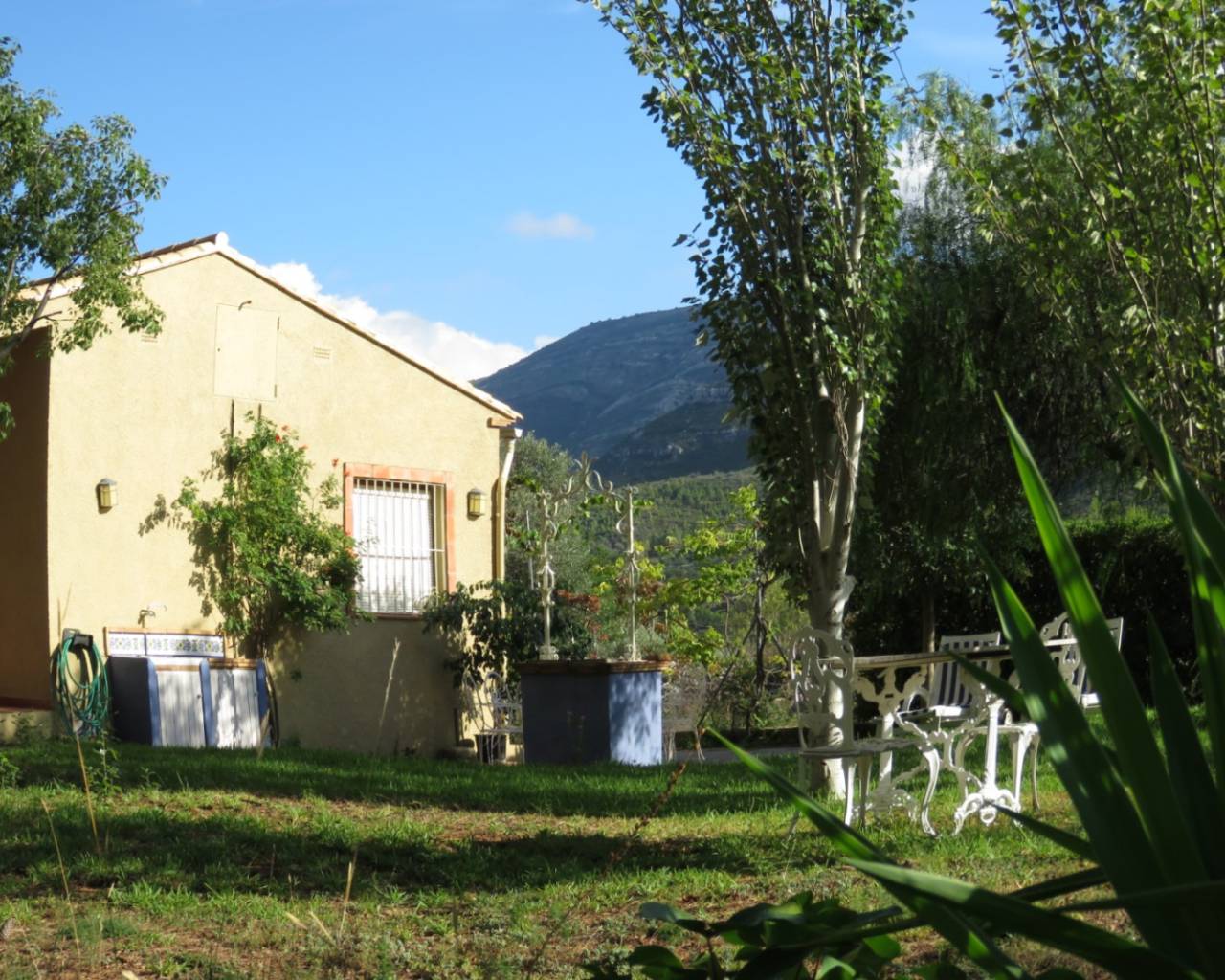 Vente - Finca - Jalon Valley - Benigembla
