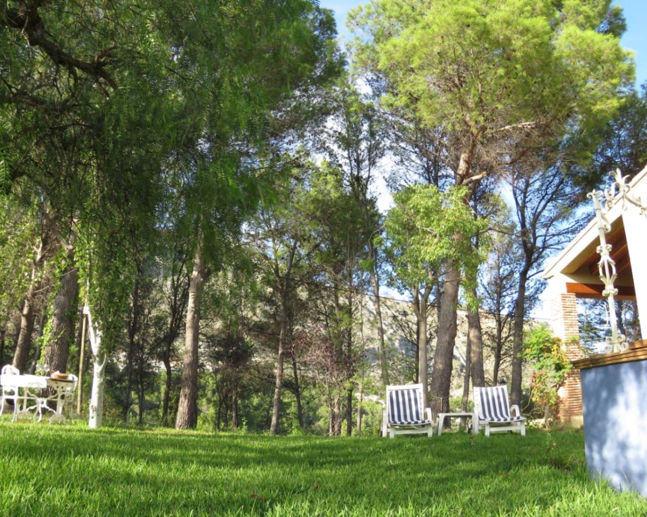 Vente - Finca - Jalon Valley - Benigembla