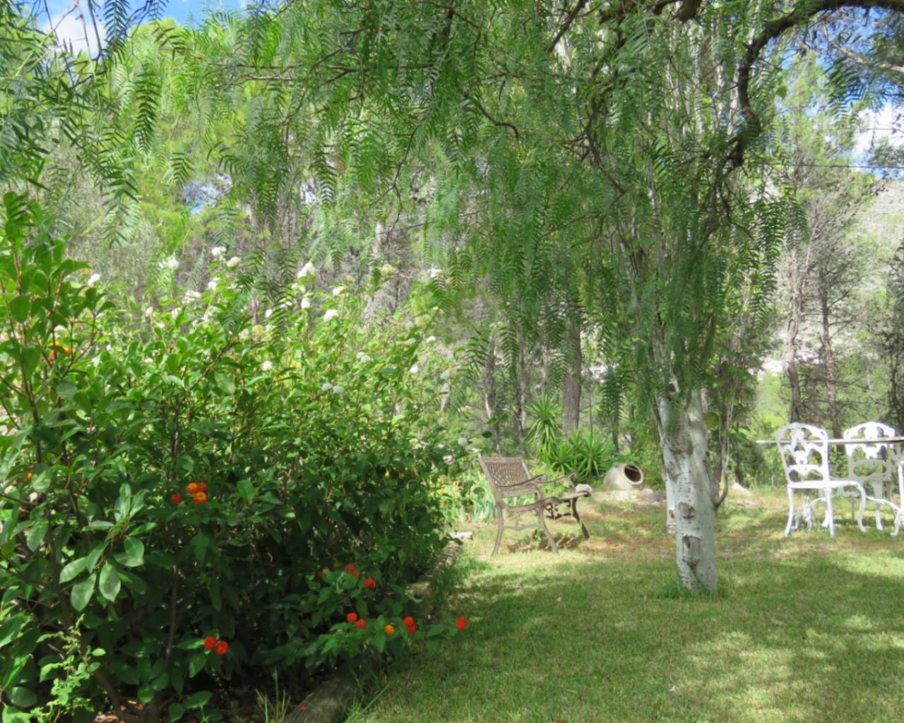 Vente - Finca - Jalon Valley - Benigembla