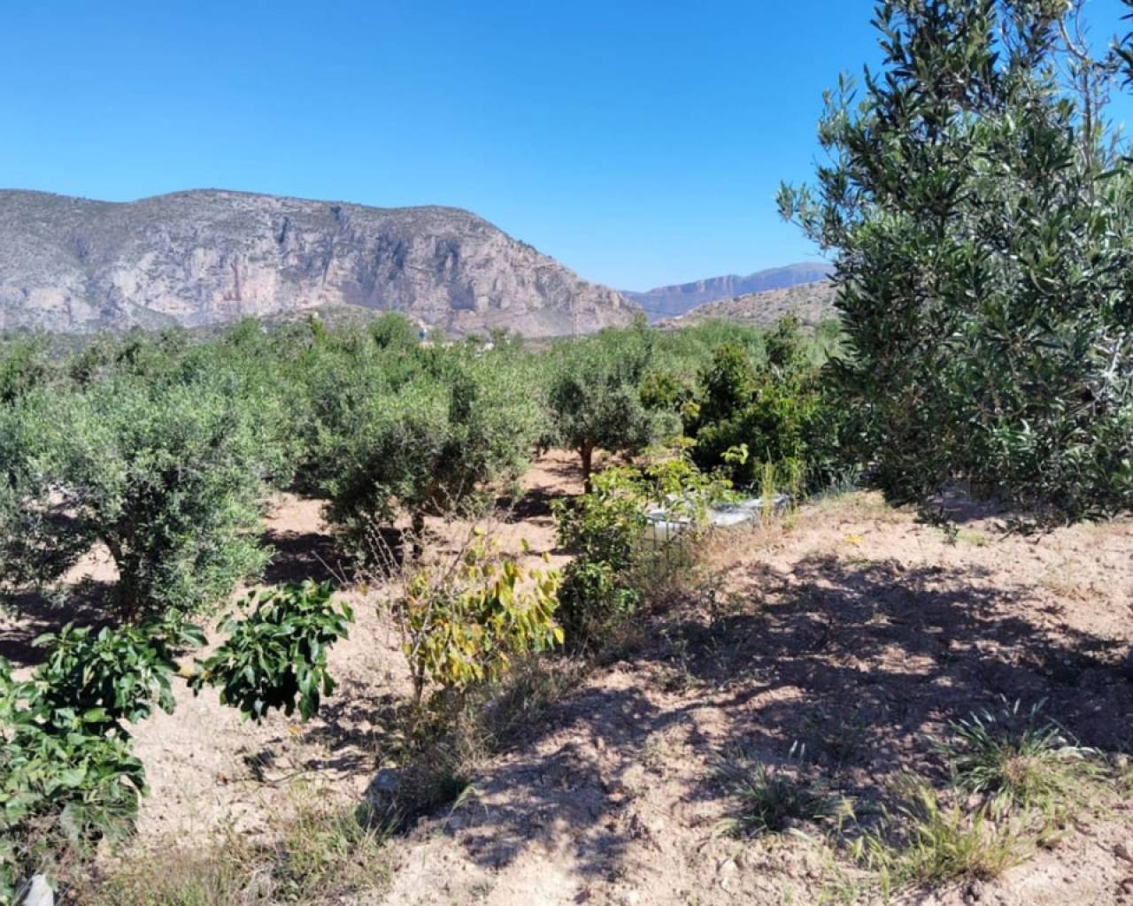 Vente - Finca - Teulada