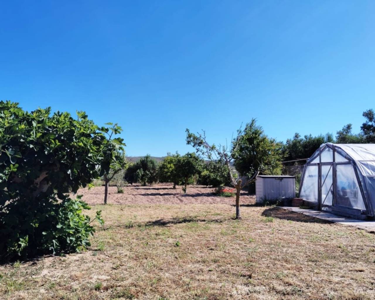 Vente - Finca - Teulada