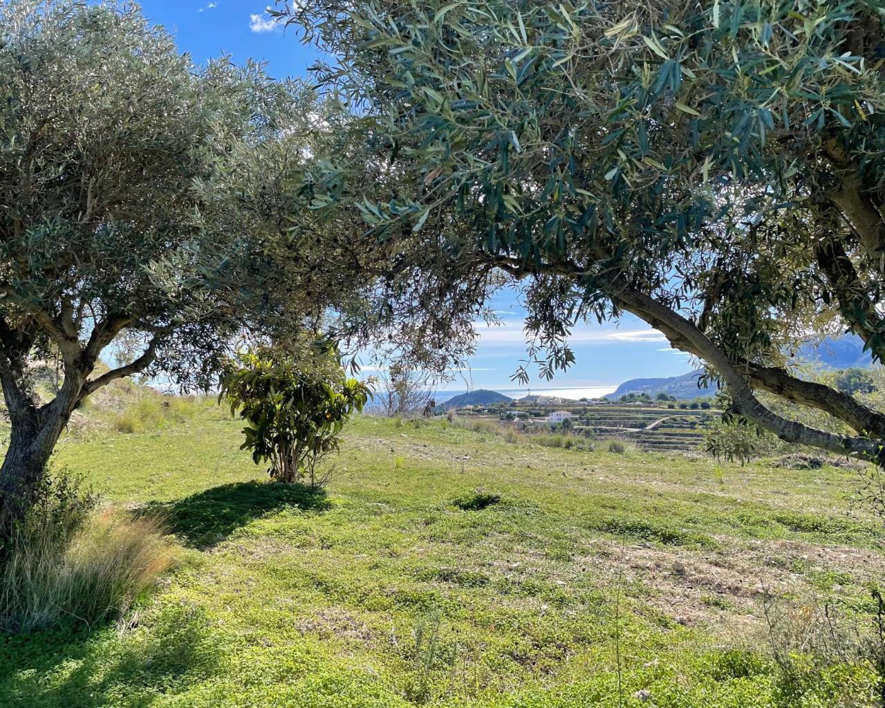 Venta - Finca - Benissa - Benissa pueblo