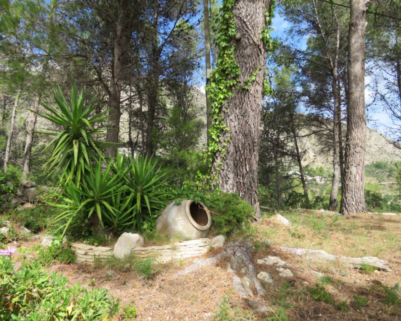 Venta - Finca - Jalon Valley - Benigembla