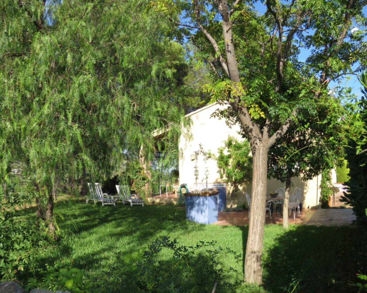 Venta - Finca - Jalon Valley - Benigembla